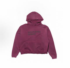 ERD Vintage Washed French Text Hoodie