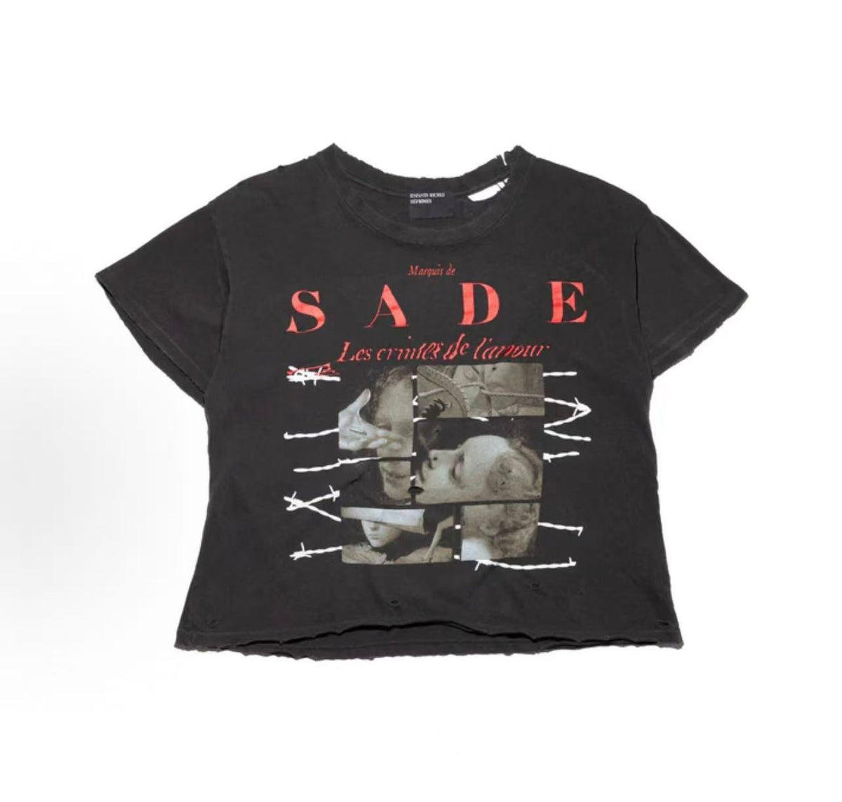 ERD Sade Destroyed Cropped Vintage Tee